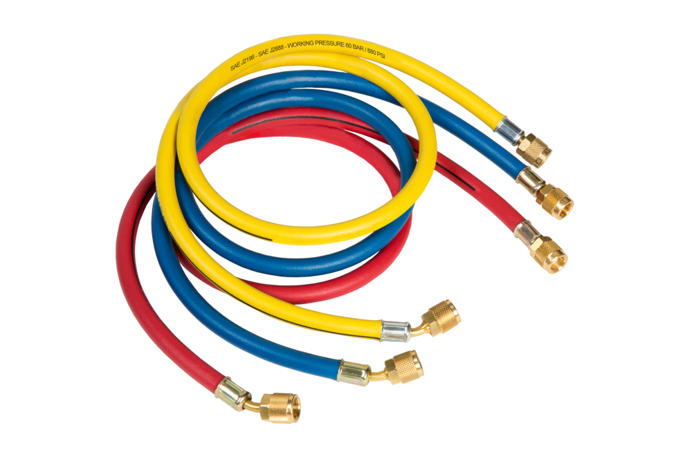 CCL-72-J2888