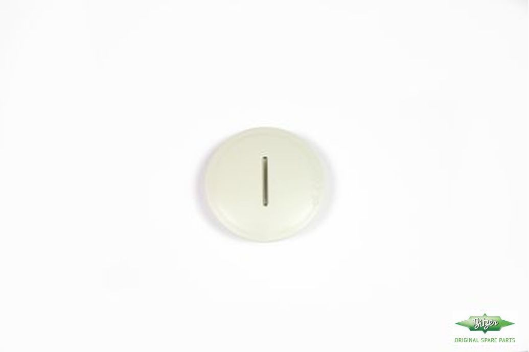 SEALING PLUG