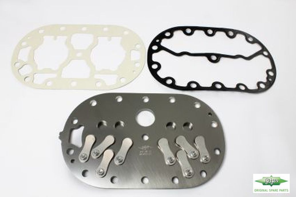 VALVE PLATE COMPLETE