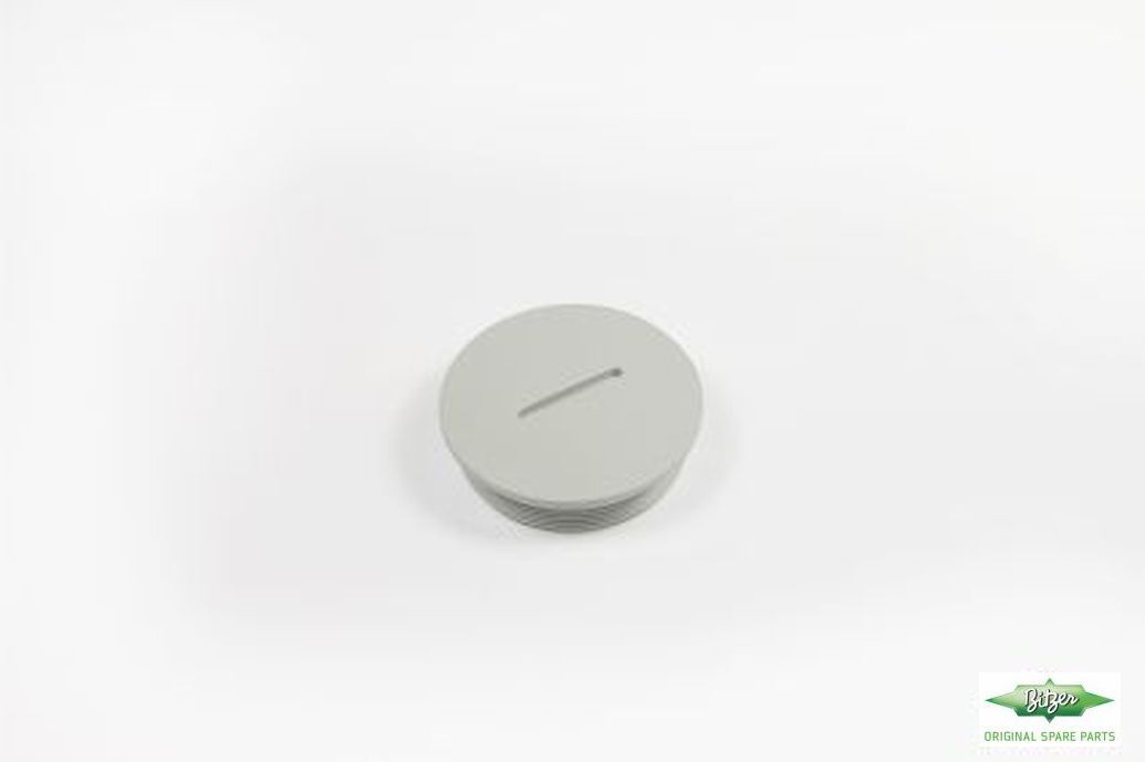 SEALING PLUG