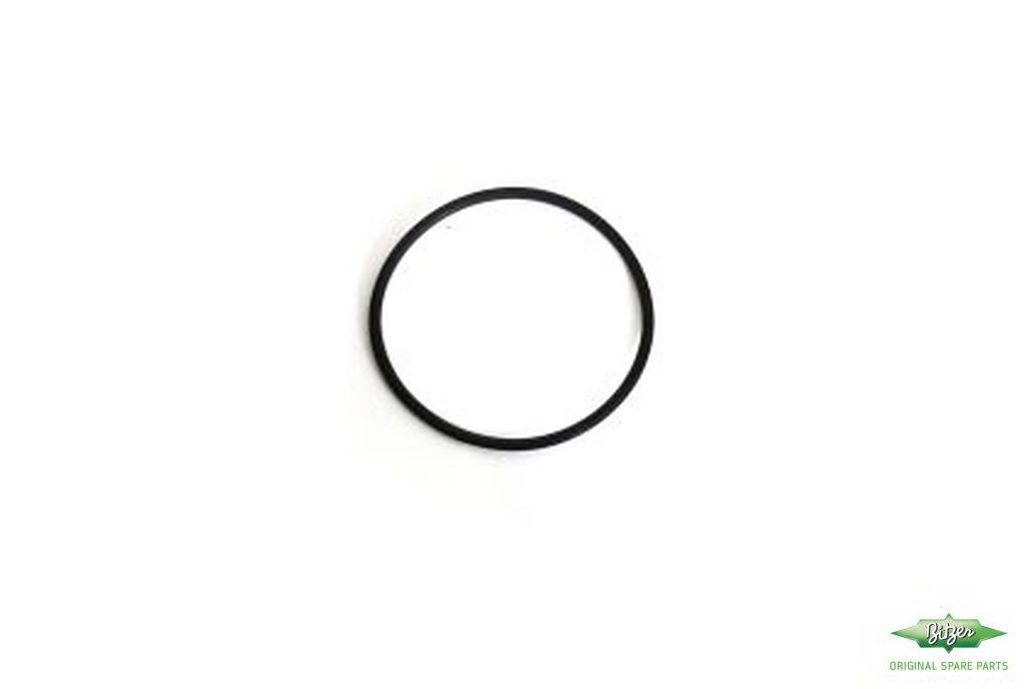 O-RING