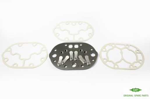 VALVE PLATE COMPLETE