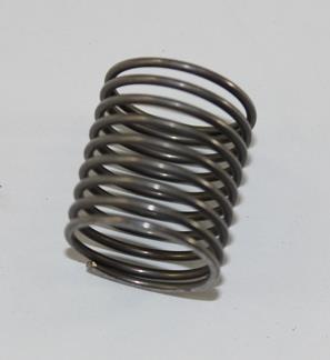 CARRIER SPRING (MULT 6)